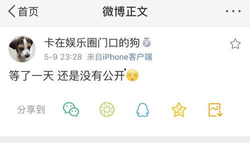 吃瓜爆料配乐是什么歌,旋律中的真相揭晓