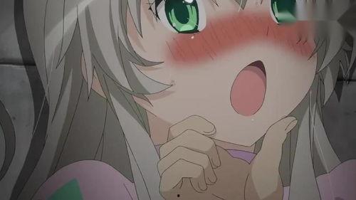 动漫主,动漫世界里的奇幻冒险之旅