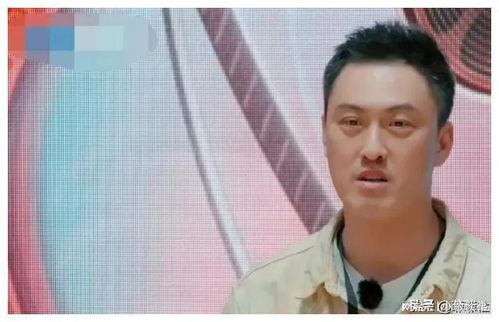 娱乐圈吃瓜料的博主是谁,揭秘幕后真相，带你走进娱乐圈幕后世界