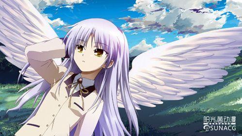 日本动漫肉片,日本动漫肉片大揭秘